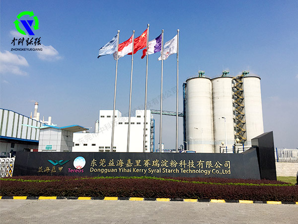 东莞某食品厂自备电厂SNCR脱硝整改